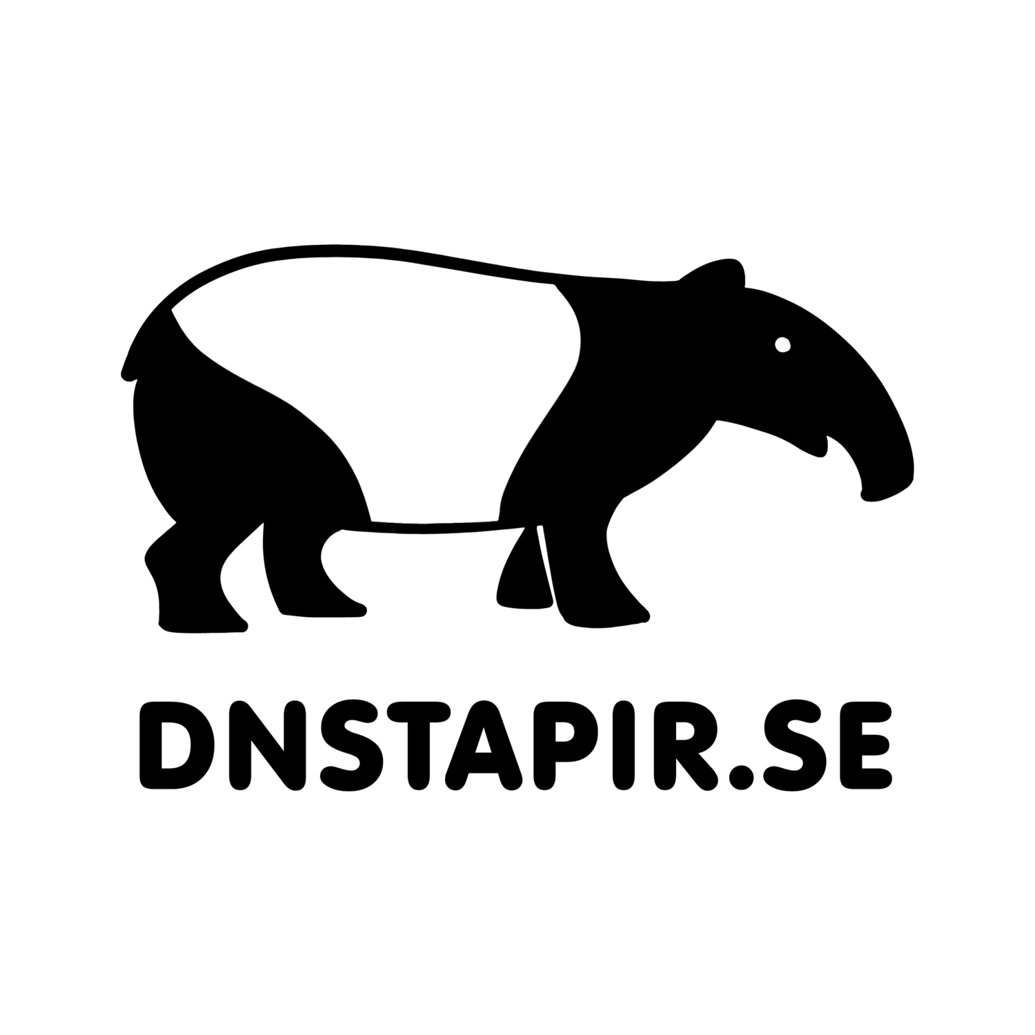 DNS Tapir
